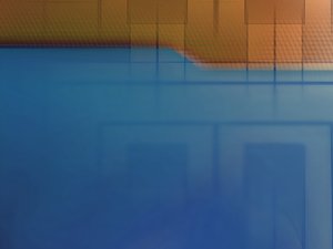 域名竞价时如何避免被抬价